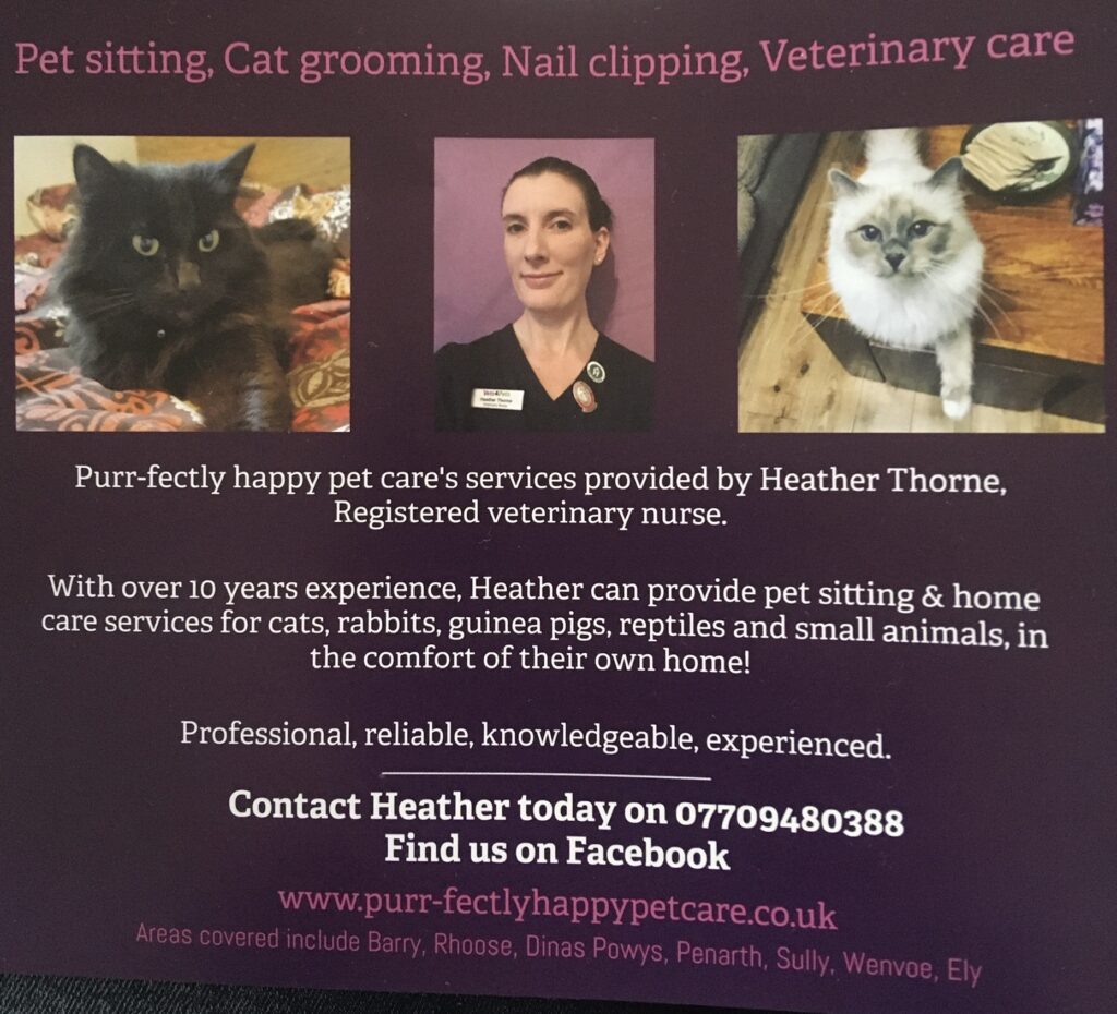 Purr-fectly happy pet care